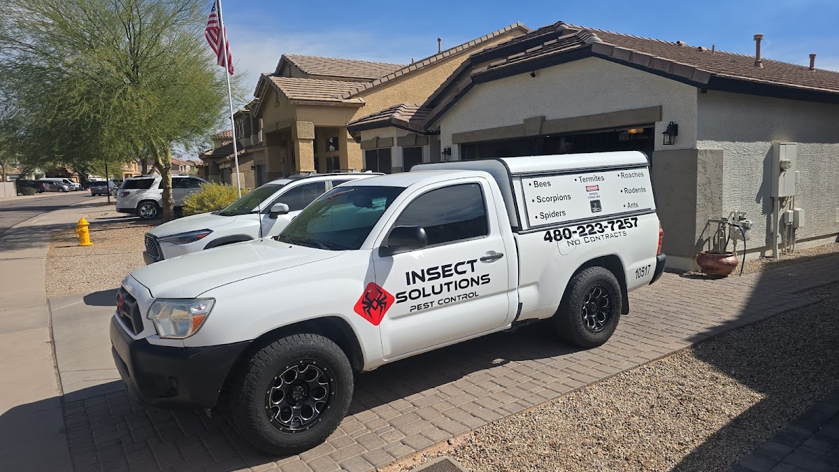 Andrew Swanson Decalwolf wrap review photo